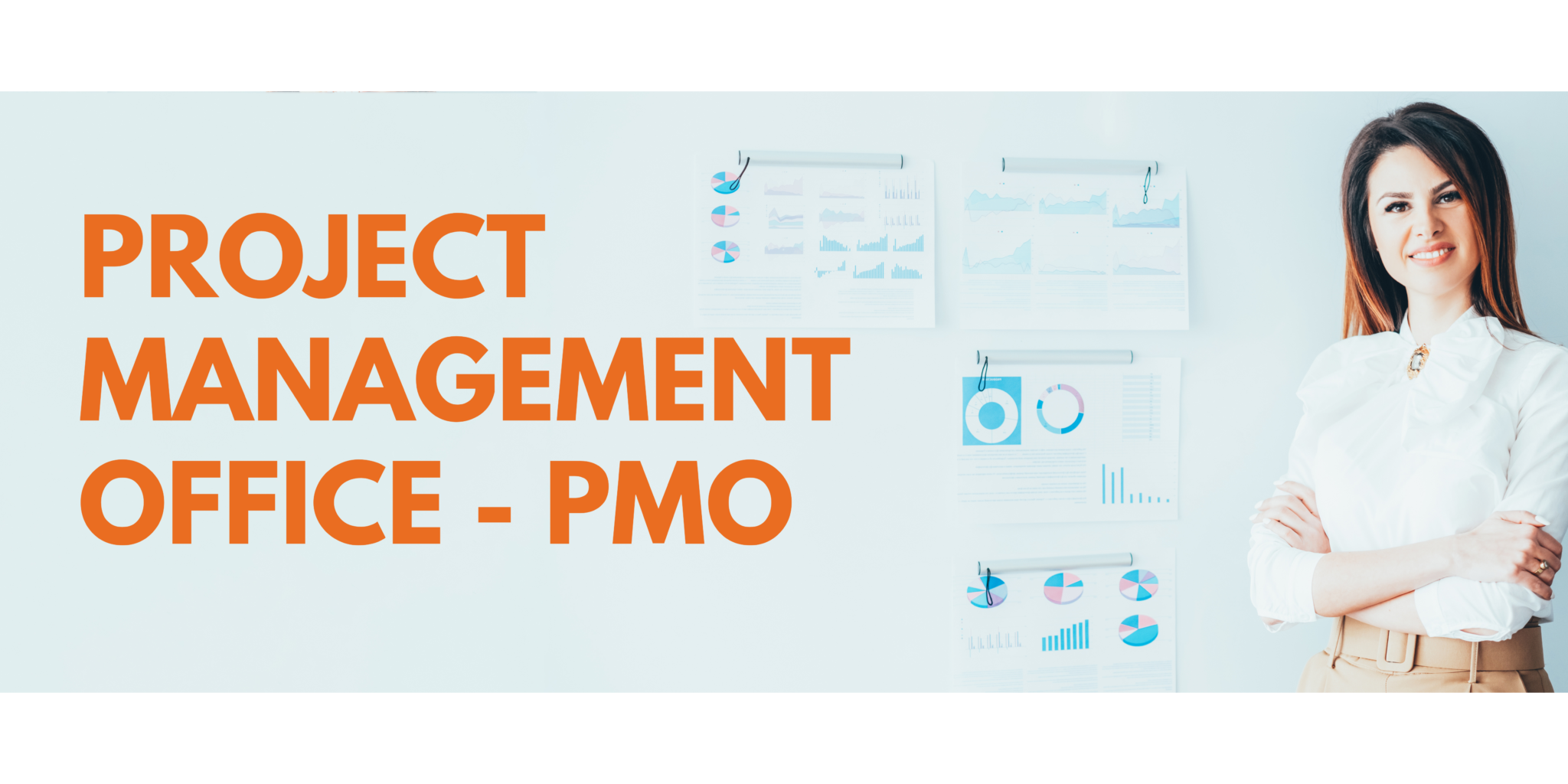 can a pmo accelerate the implementation process